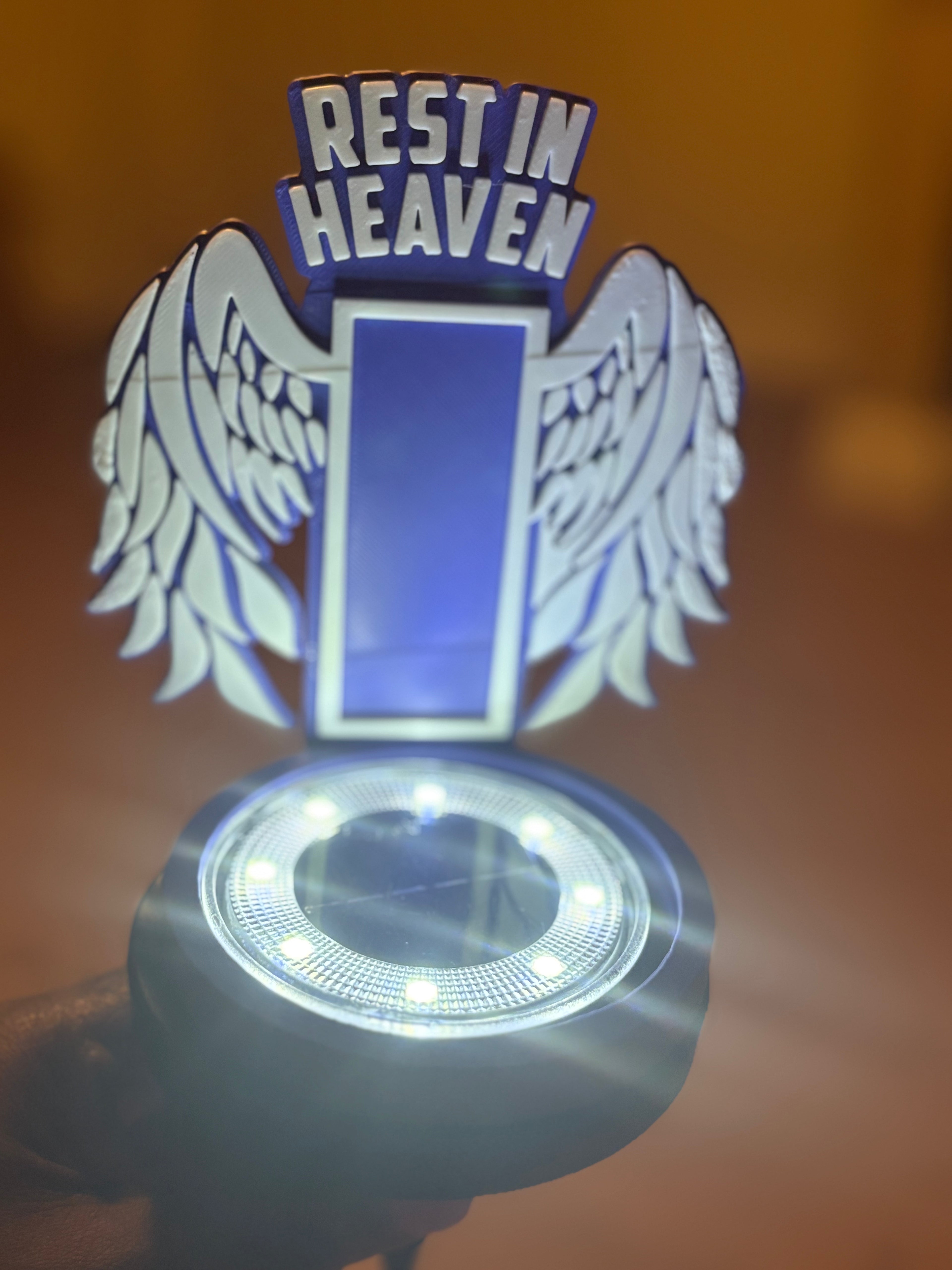 Custom Solar Light