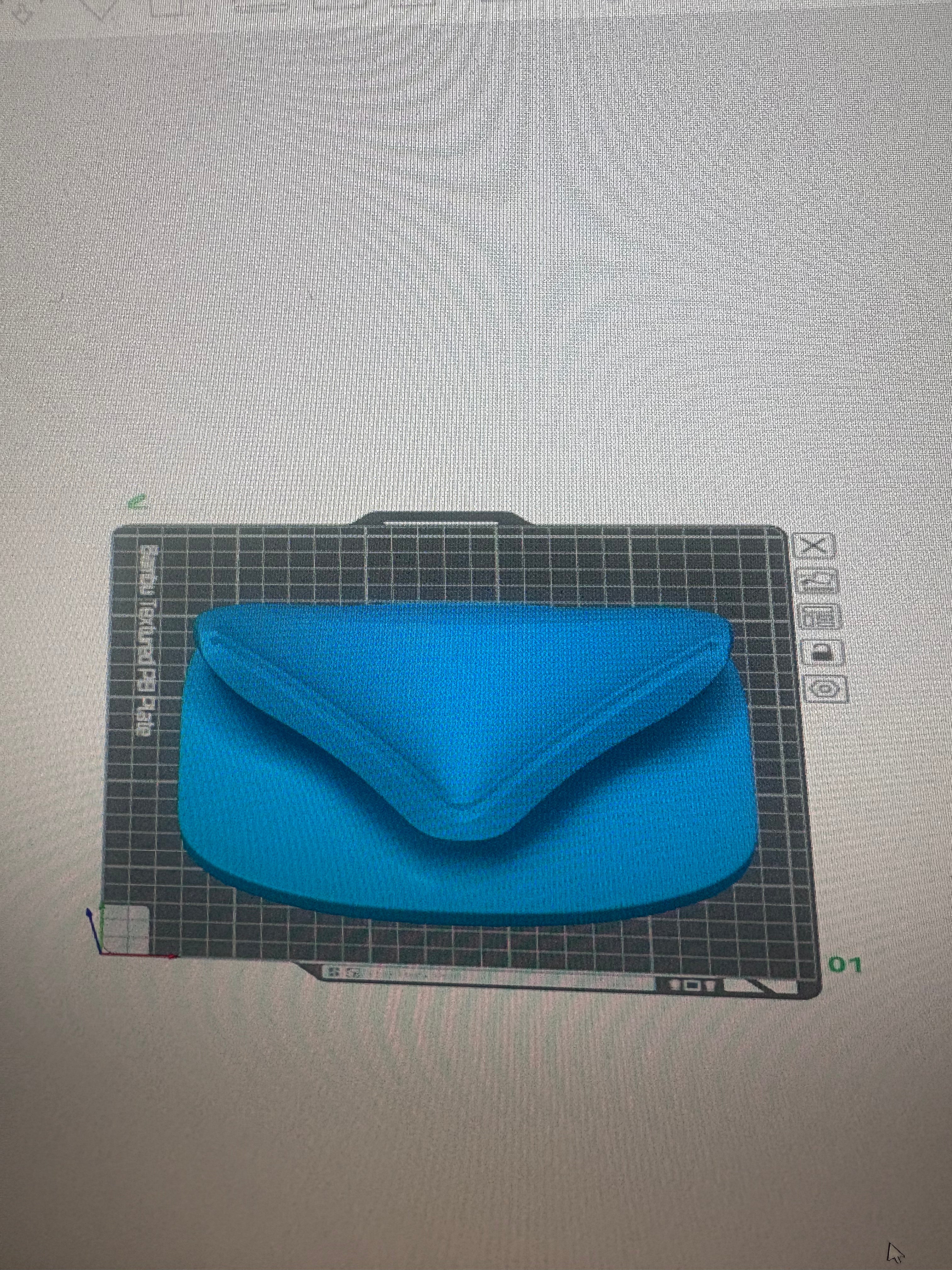 Laser Heart Scan Digital file